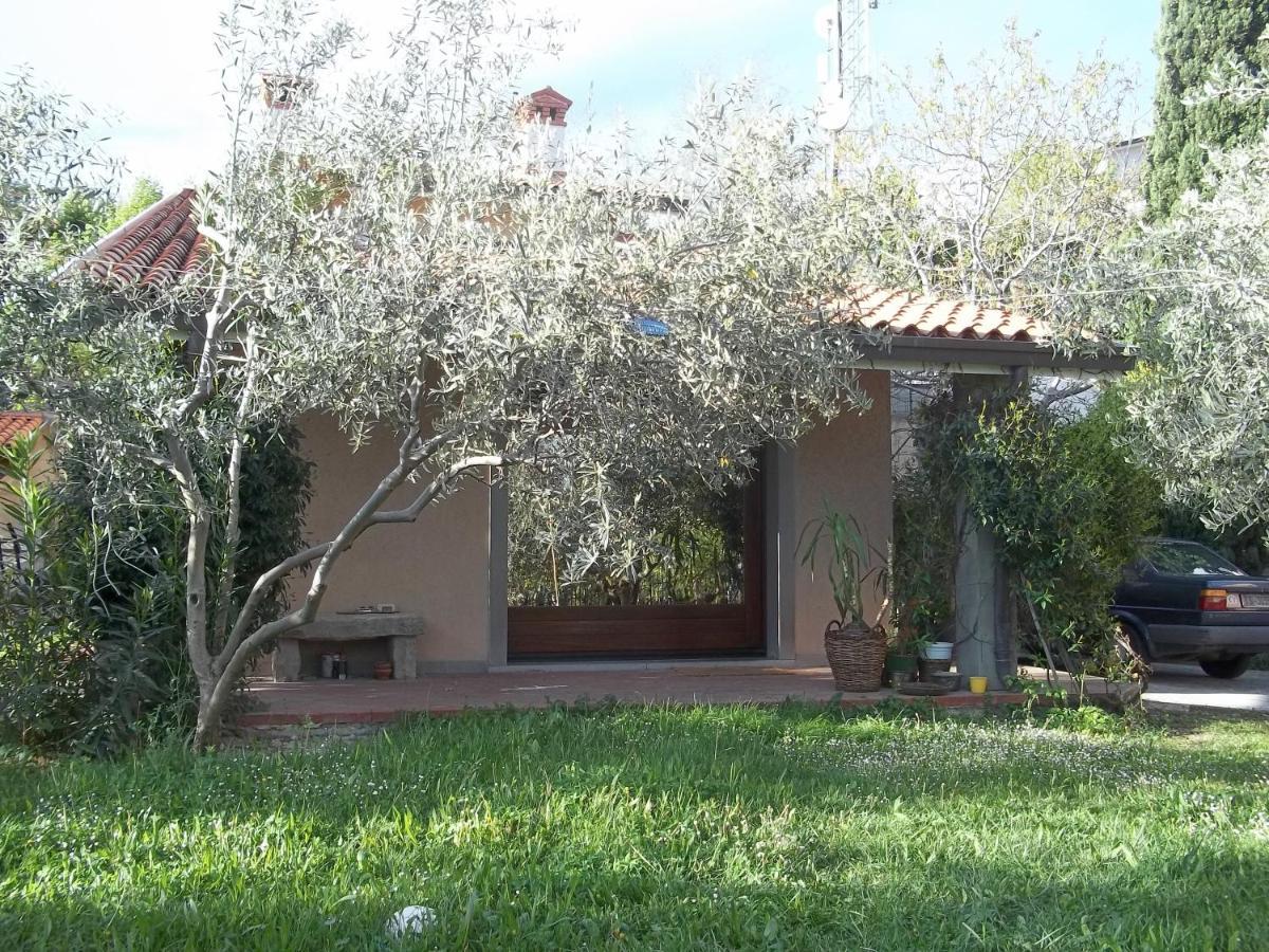 Villa Ambrosia Múggia Exterior foto